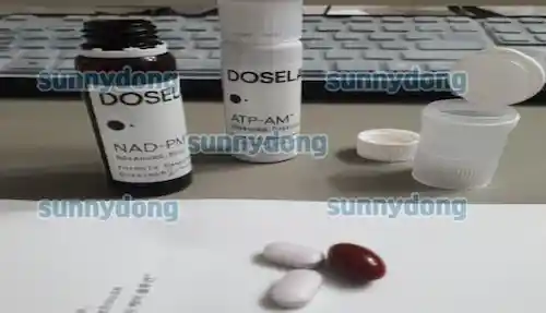 도즈랩 멀티비타민 구성