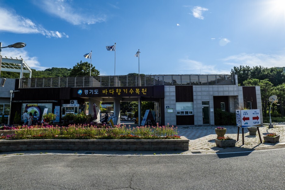  서울근교 경기도 가볼만한 곳 바다향기수목원