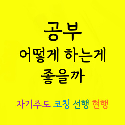  망포 고등 과학과외 망포동 중등 국어과외 일대일 전문 선생님 한국사 물리 세계사 수학 영어 예비중 예비고과외