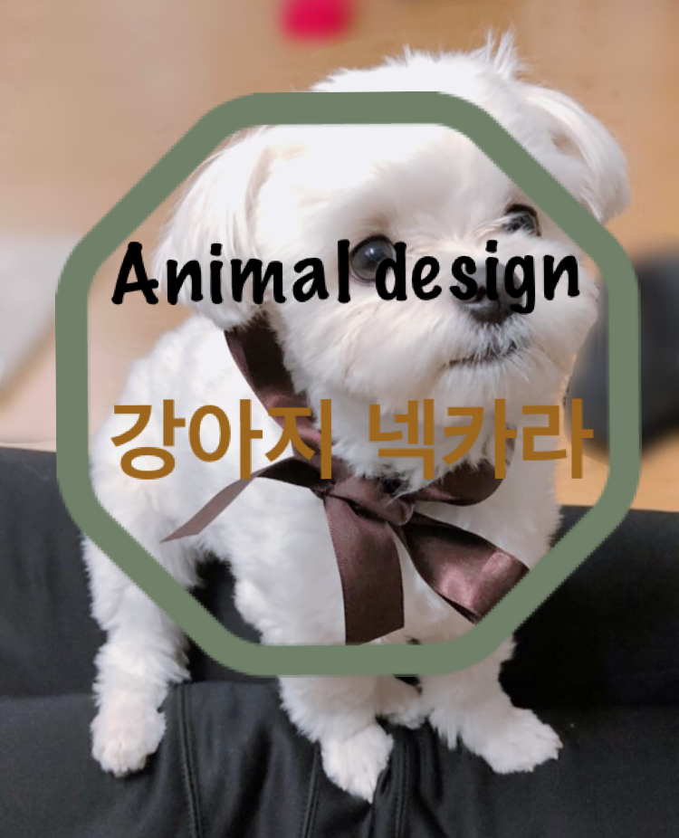  강아지넥카라, Animal Design 꽃게 넥카라 리뷰