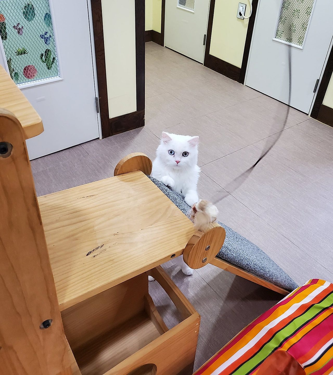 호텔하루 이미지