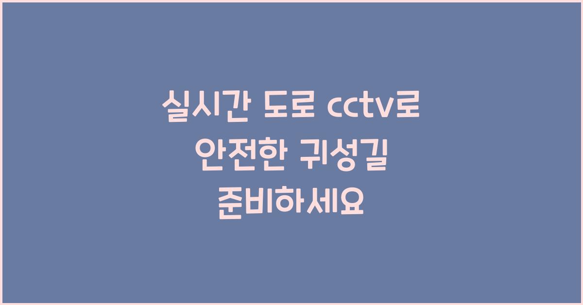 실시간 도로 cctv