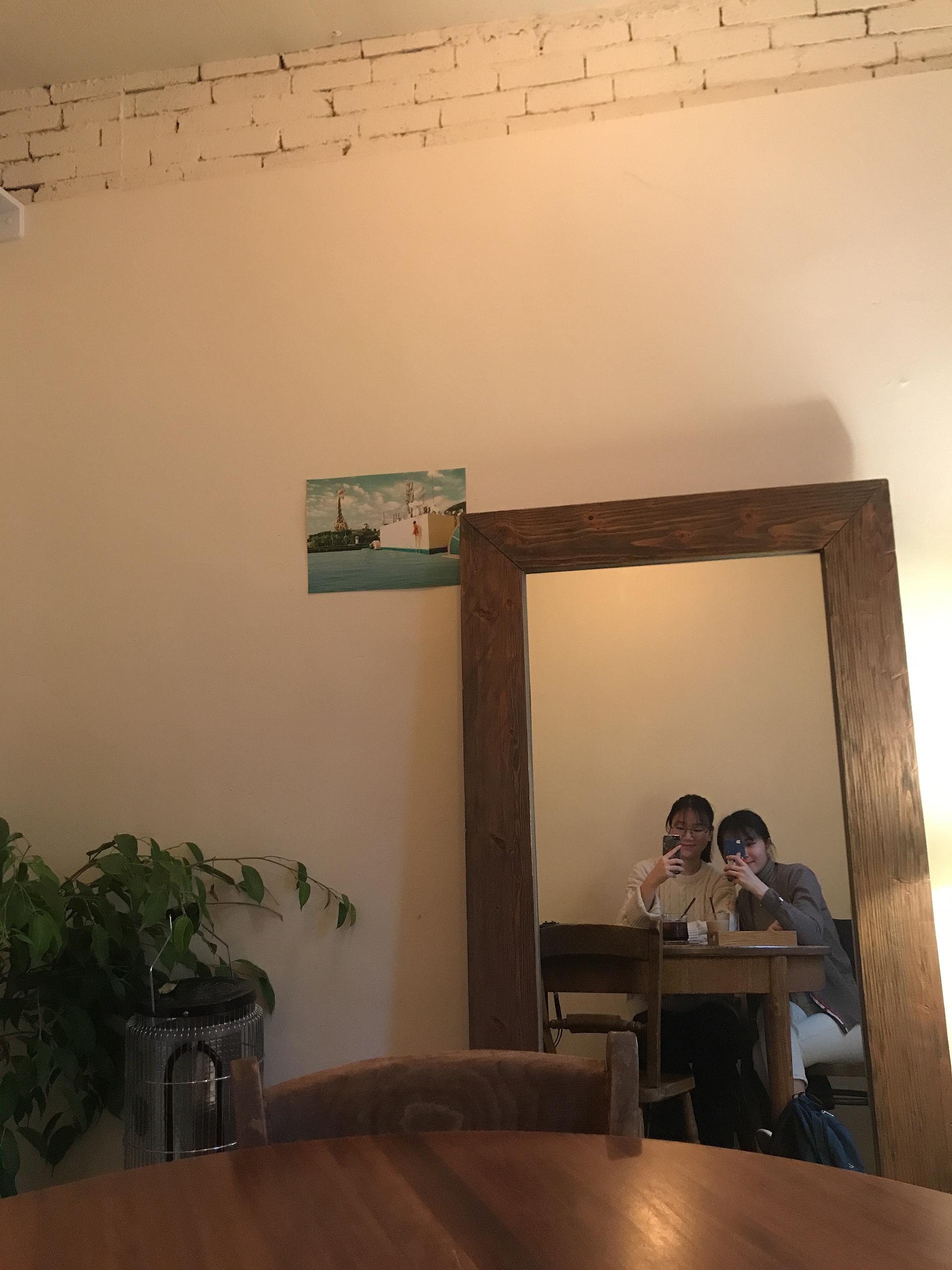청춘커리 이미지