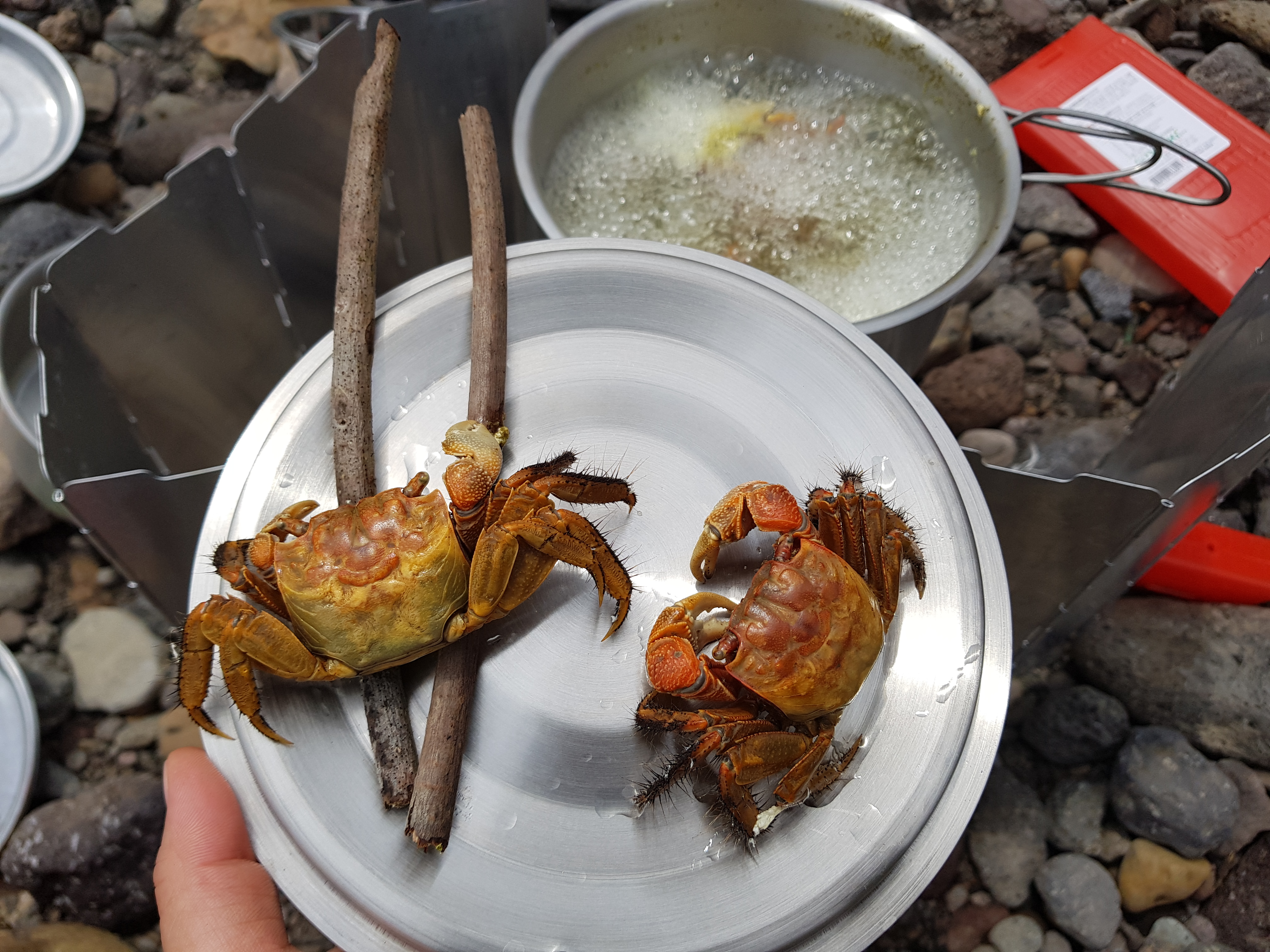  게라면~