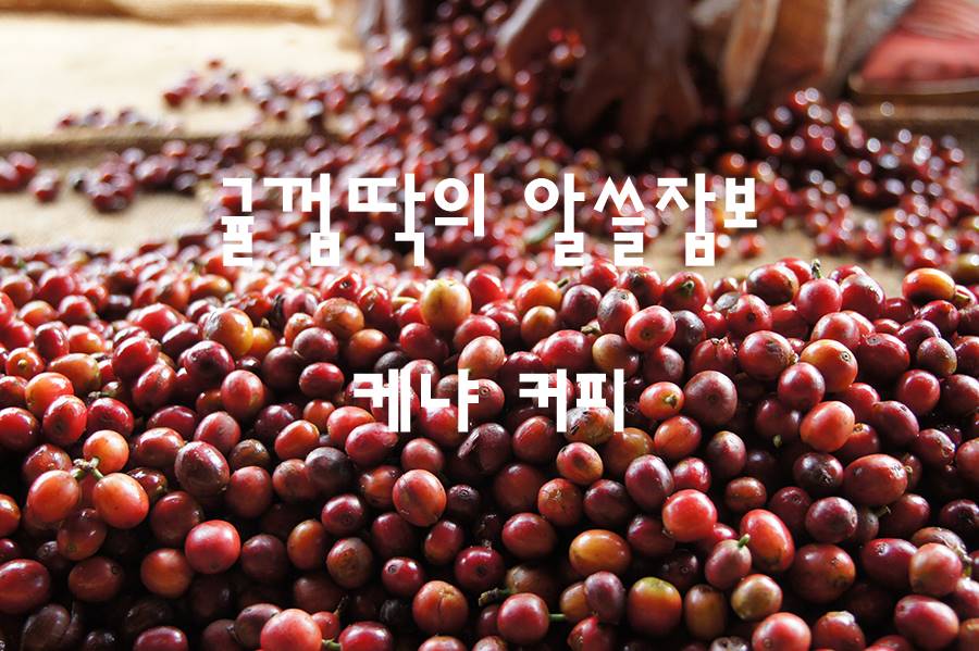  알고마시면 더욱 맛있게 먹는 커피 - 케냐 커피