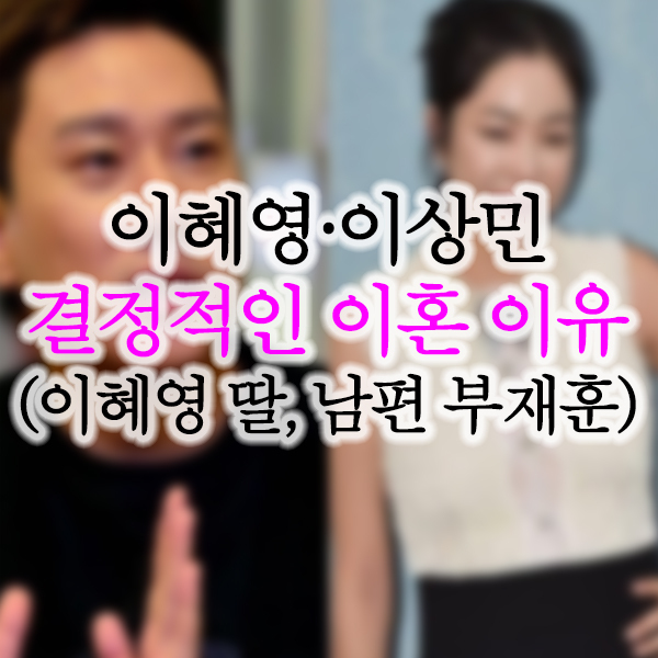  이혜영 이상민 이혼사유 뒷이야기 논란