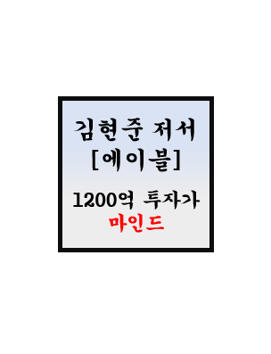  [도서] 에이블 후기 - 더퍼블릭자산운용 김현준 대표 저