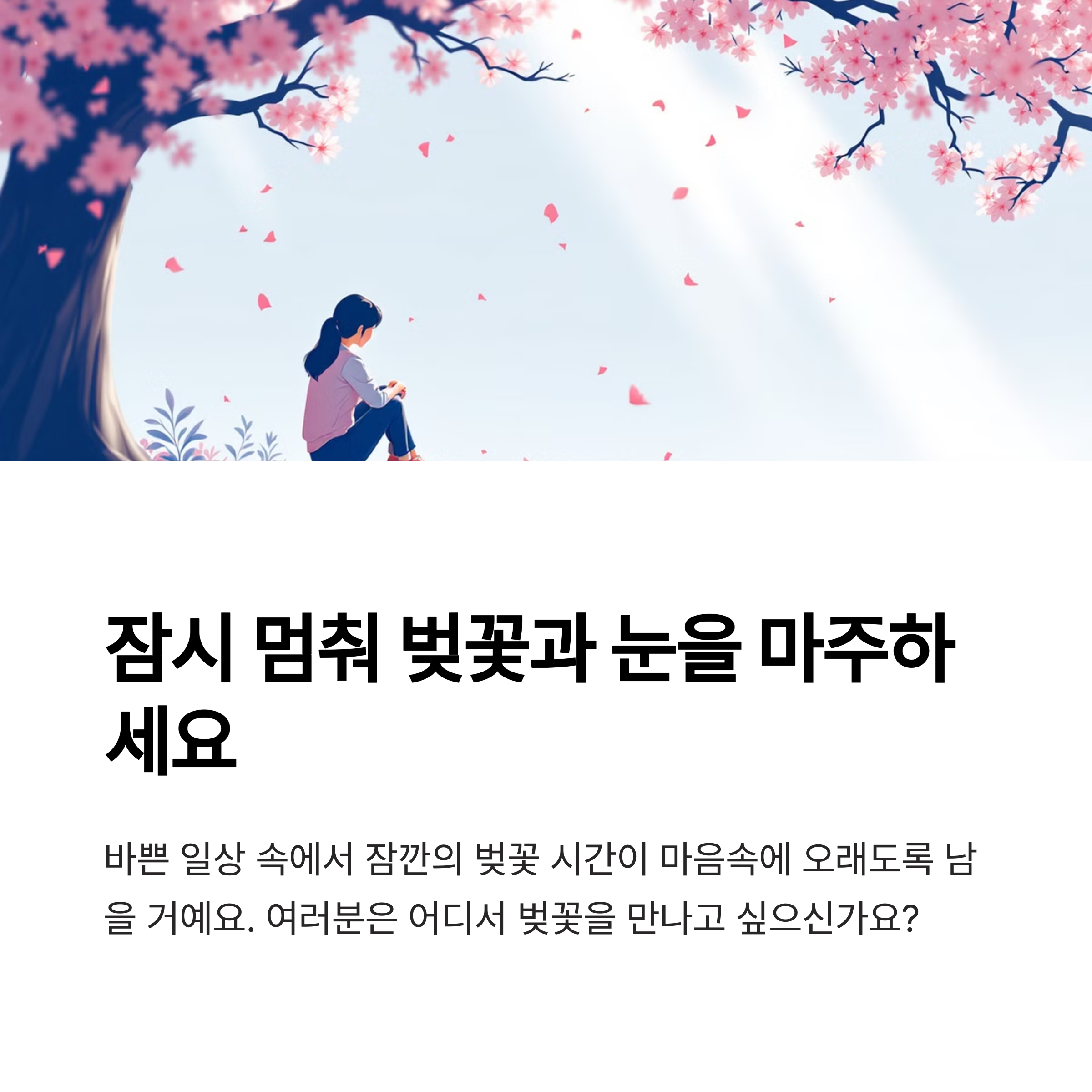 서울시 벚꽃축제
