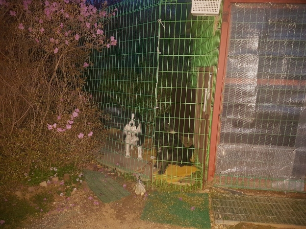 img.jpg