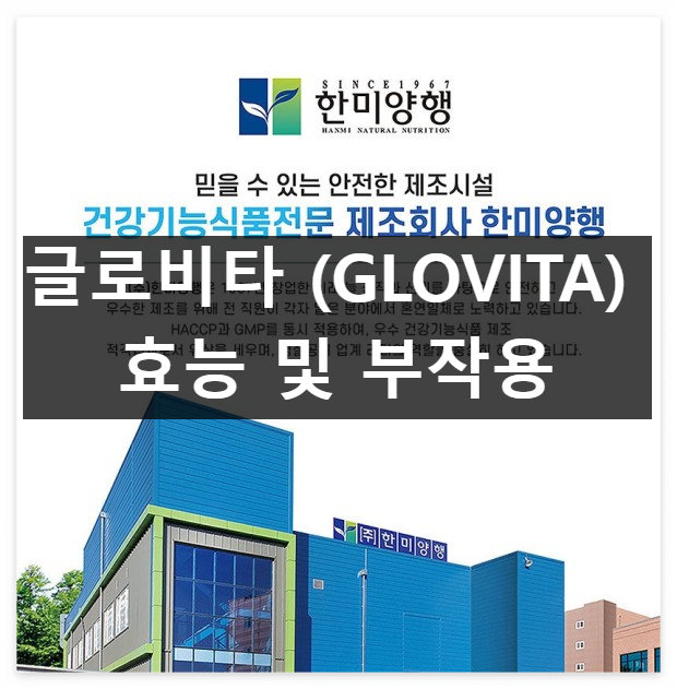 글로비타 (GLOVITA)