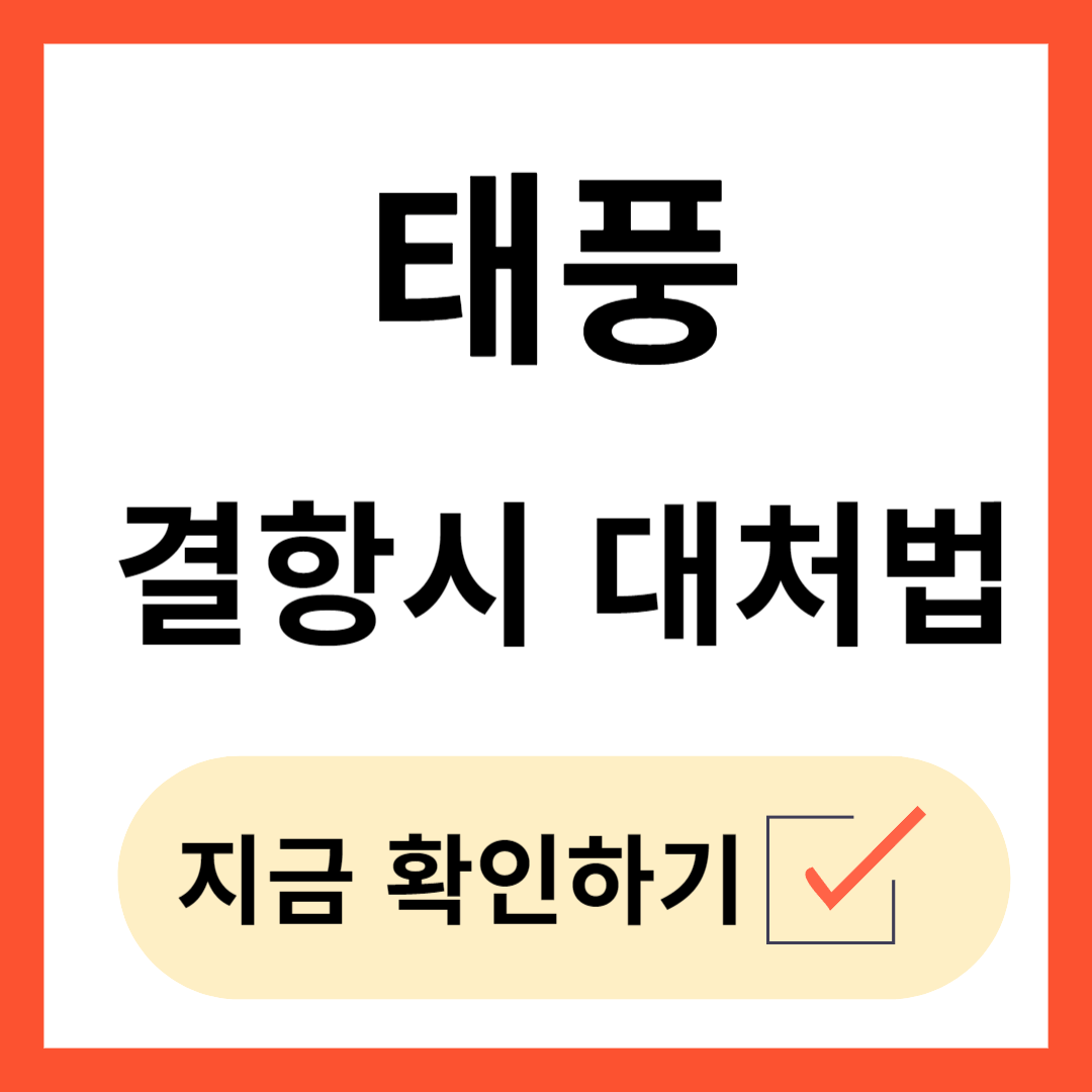 태풍 결항시 대처법