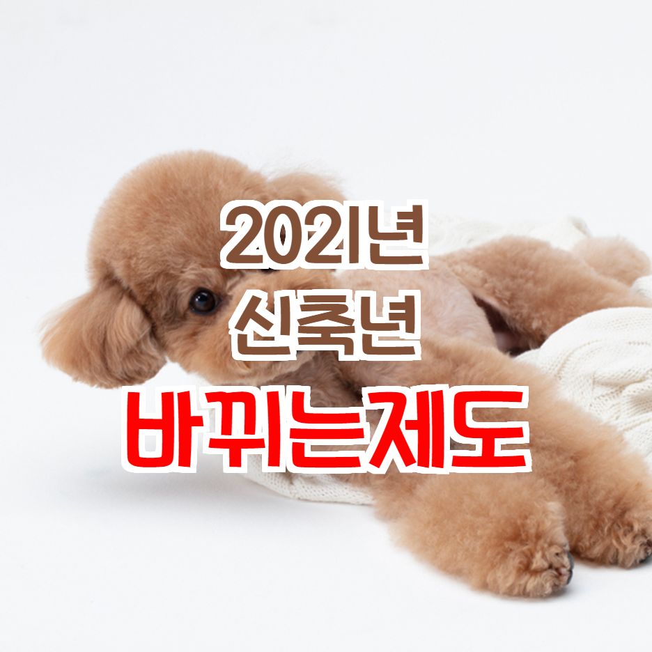  2021년 바뀌는것들-2021년 최저시급 등