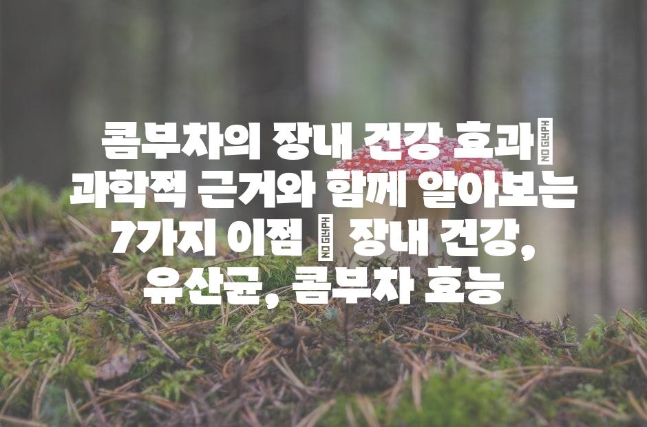 샘플 (42)
