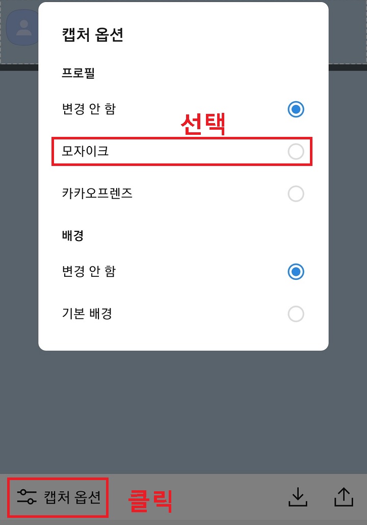 캡처옵션 선택 후 모자이크 선택함