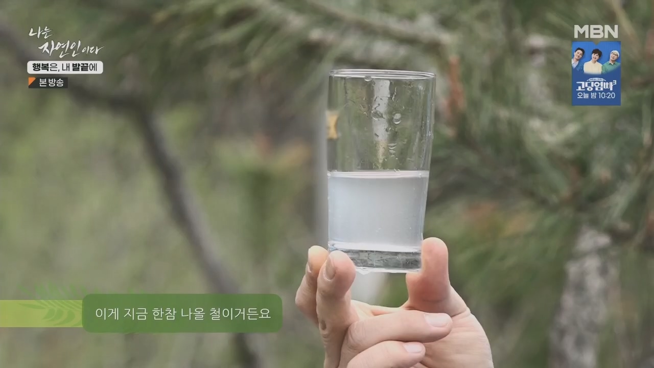 나는 자연인이다.E551.230427p.H264-F1RST.mp4_20230427_200323.230.jpg