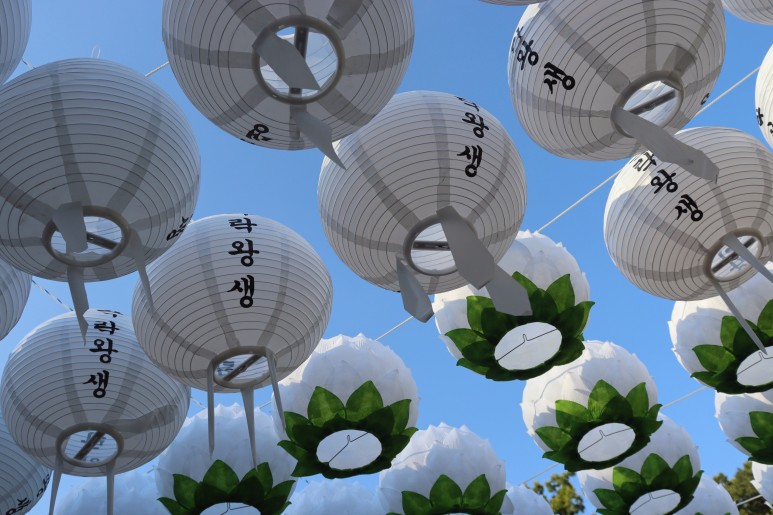 봉선사 연꽃 피는 시기 꽃놀이 합니다~경기도 연꽃축제 남양주여행 31