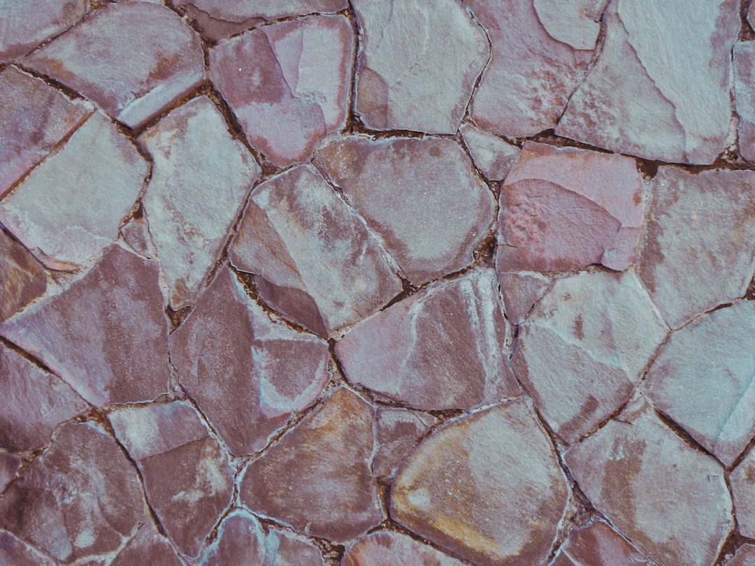Rosetta Stone