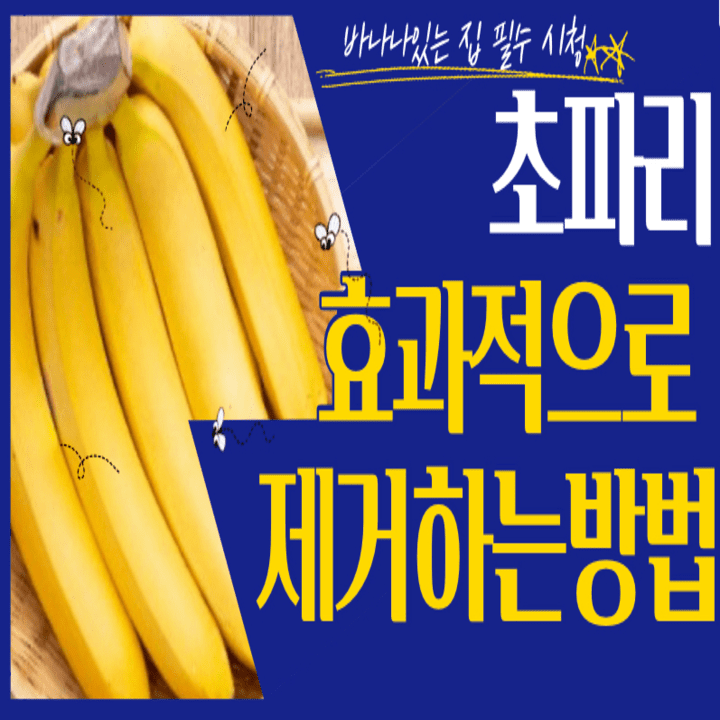  음식물쓰레기 초파리를 효과적으로 없애는방법