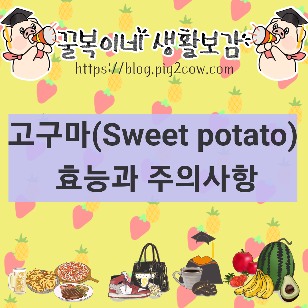  고구마 영양소 성분 효능 주의사항(Sweet potato)