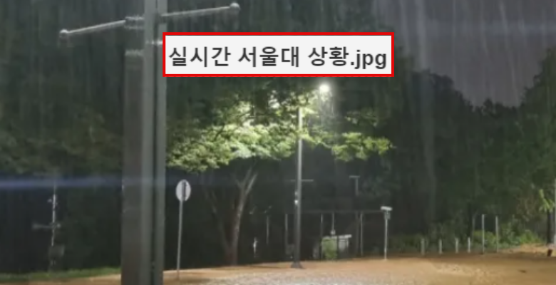  침수로 난리난 충격적인 서울대 상황