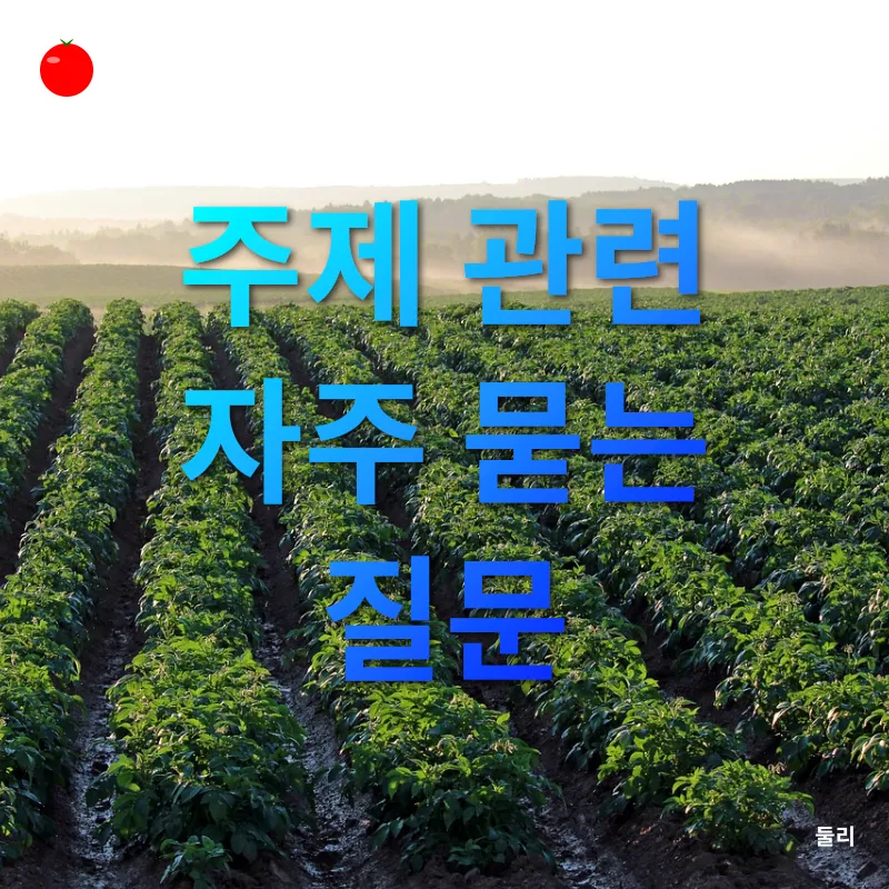 감자튀김 활용법_4