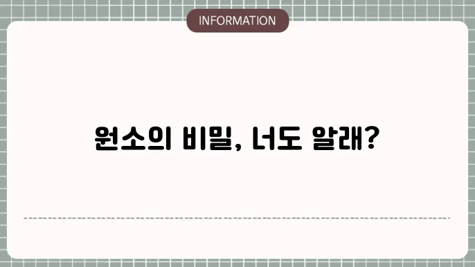 원솔 이미지
