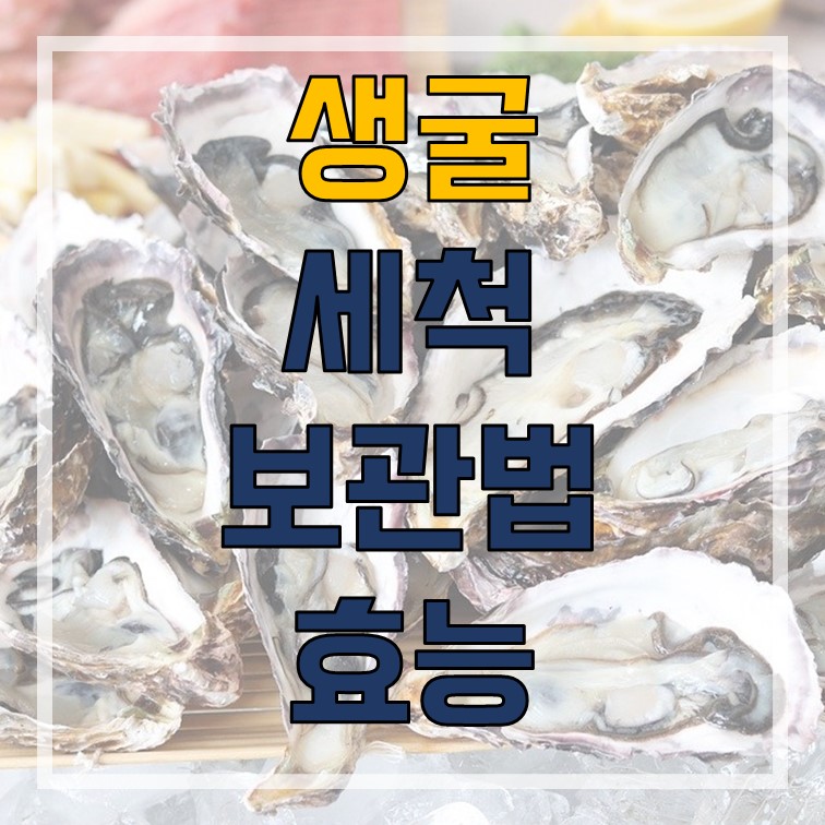  생굴 세척 생굴 보관법 생굴 효능 알아보기