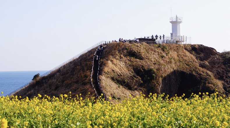 제주도 배경 영화 관련 사진