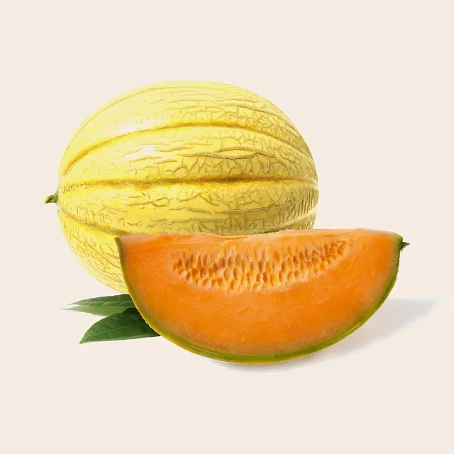 멜론 해지 서비스 중단 방법 안내 센터 해제법_6