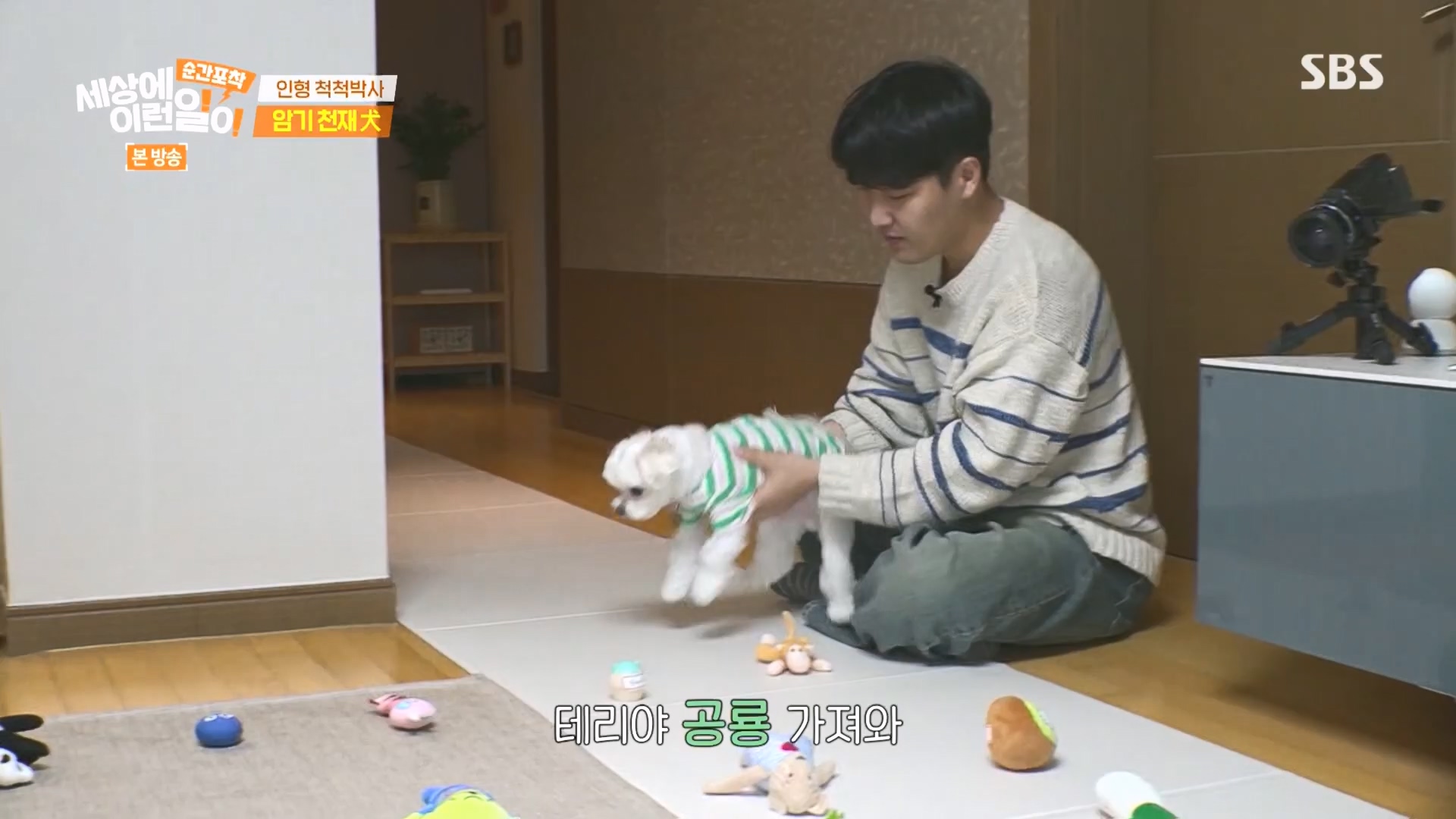 순간포착 세상에 이런일이.E1266.240224p.H264-F1RST.mp4_20240225_162508.083.jpg