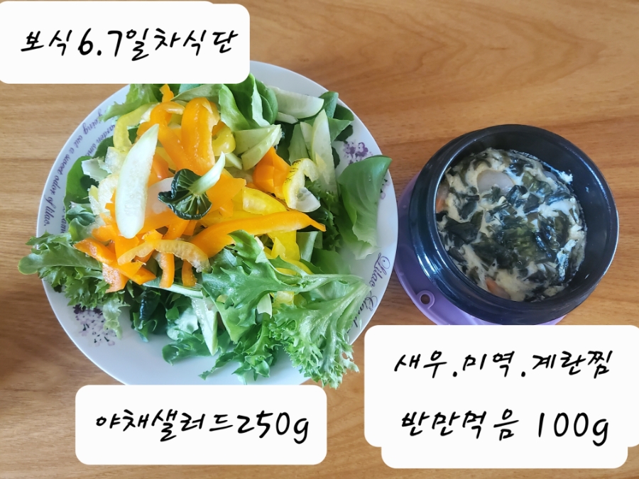 14일 & 보식총정리 15