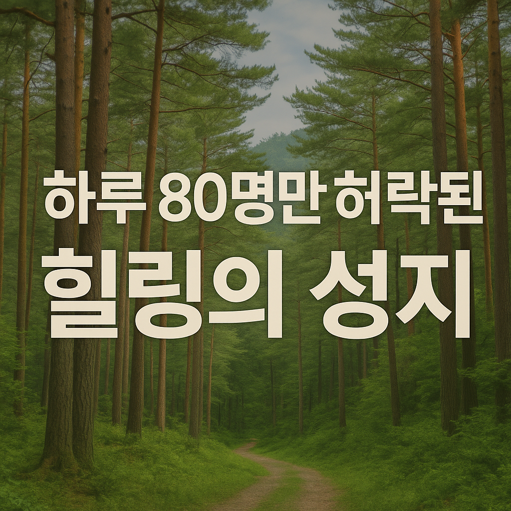 울진 금강송 숲길, 하루 80명만 허락된 힐링의 성지
