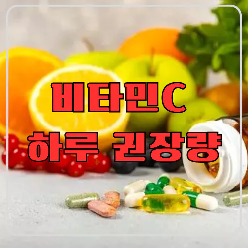 비타민C 하루 권장량