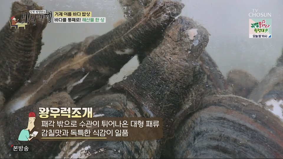 식객 허영만의 백반기행.E206.230707p.H264-F1RST.mp4_20230708_171456.966.jpg