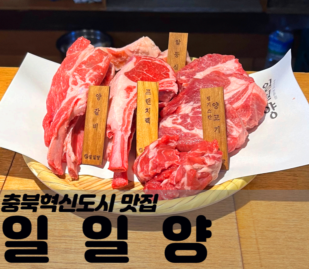 일일양충북 이미지