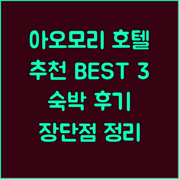아오모리 호텔 추천 BEST 3 다이
