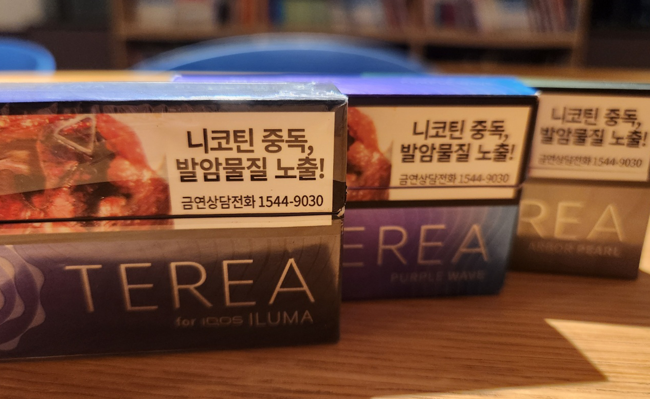 테리아종류