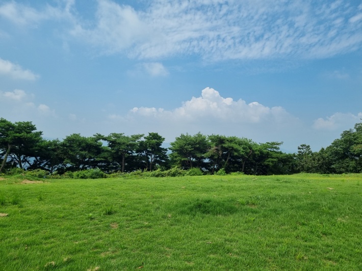 성흥산-정상