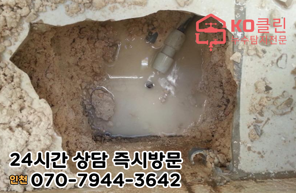 금창동 아파트4