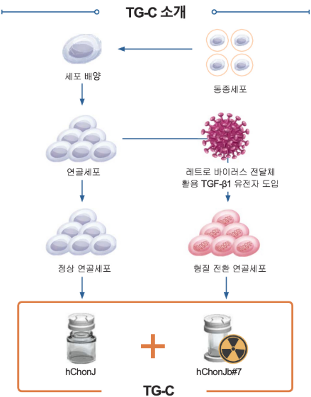 코오롱티슈진 주가 전망 급등 최신&amp;#44; 미국 임상 3상 기대와 주가 상승