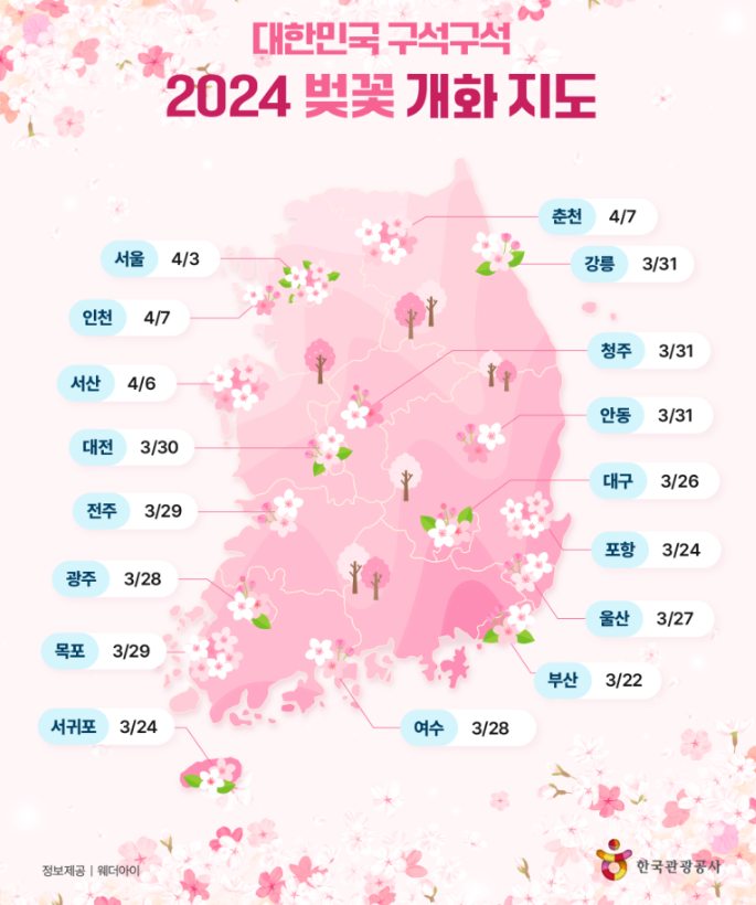 2024 벚꽃 개화시기