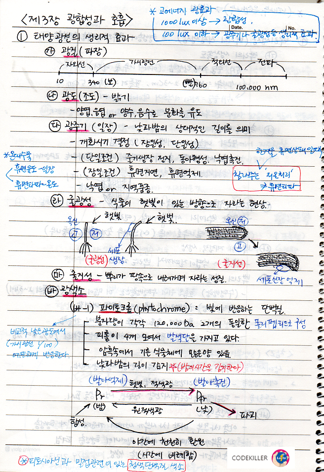 광합성과 호흡