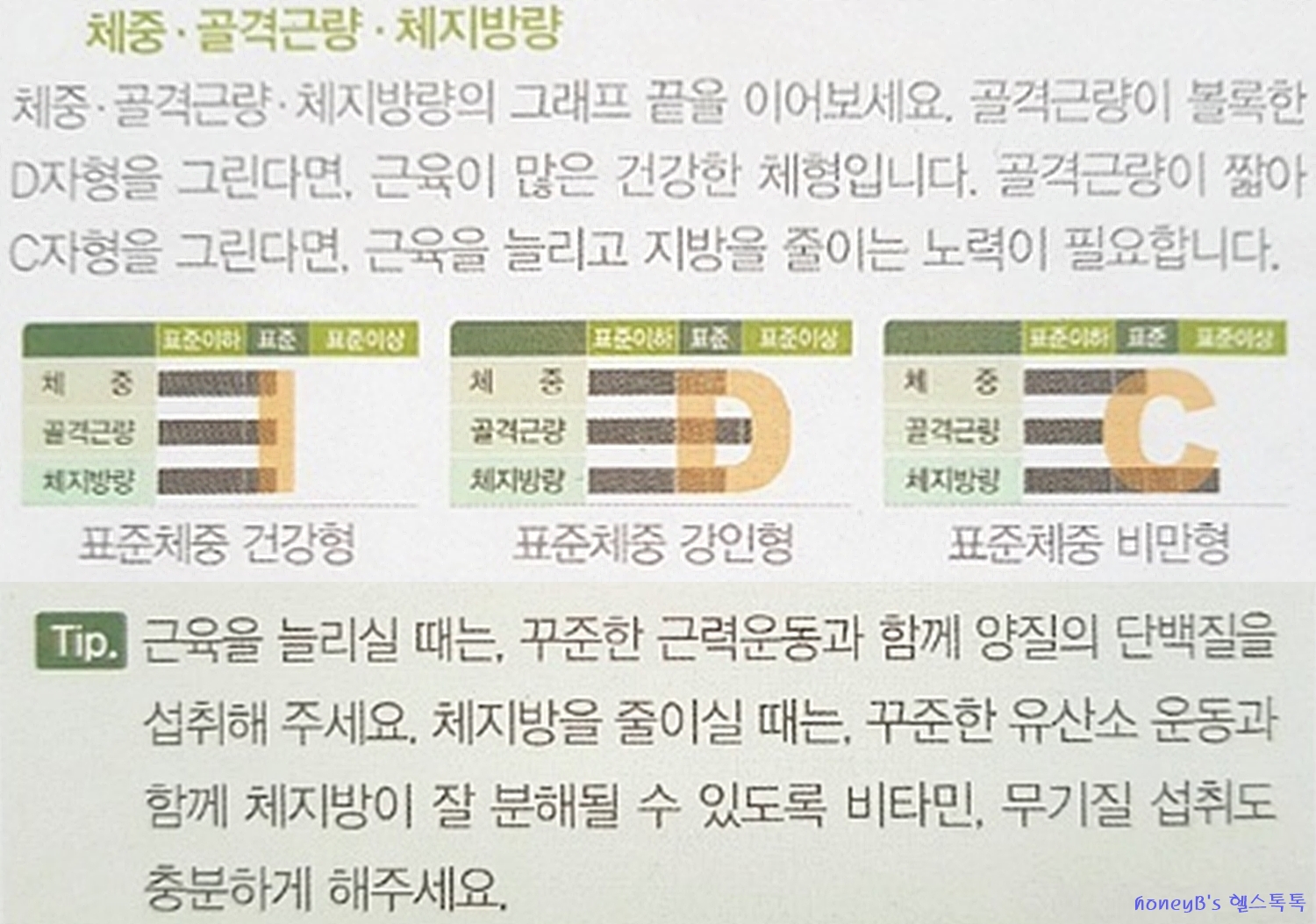  [성장 호르몬 분비] 허벅지를 굵고 탄탄하게 만들자!