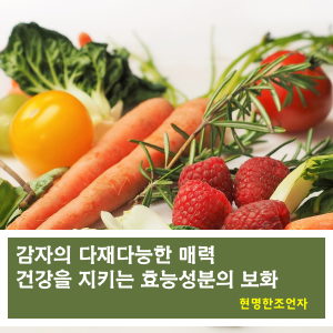 썸네일 사진
