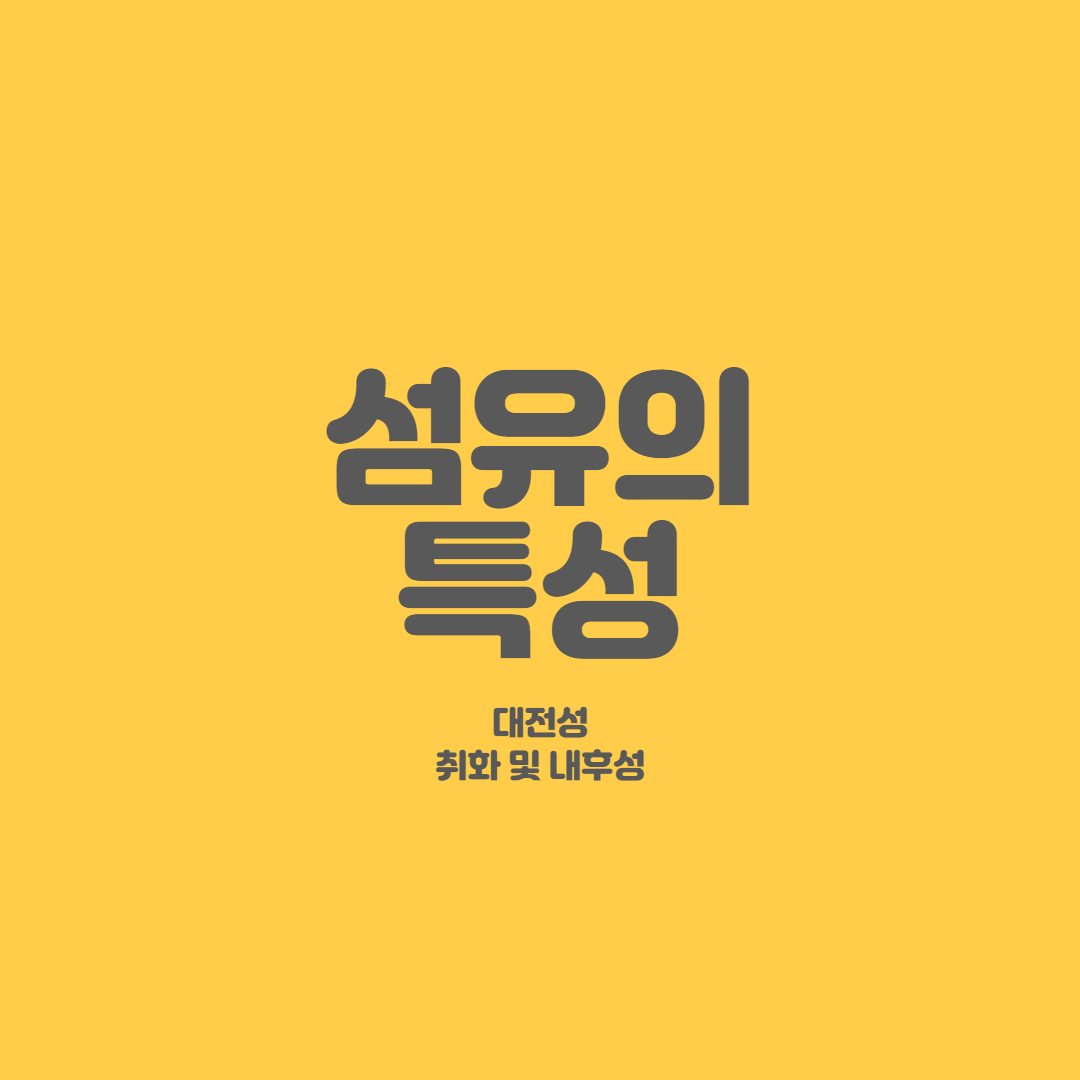 대전섬유 이미지