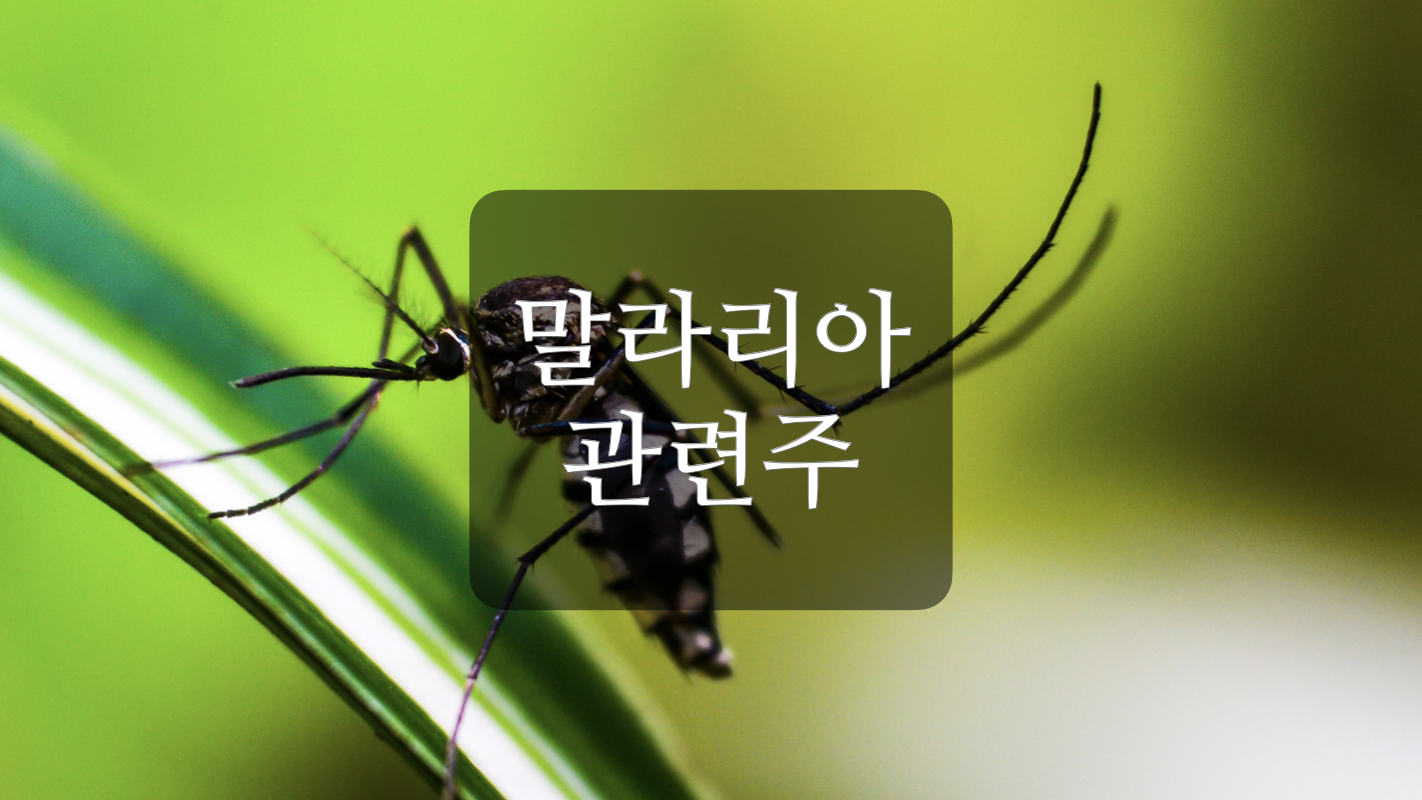  말라리아 관련주+