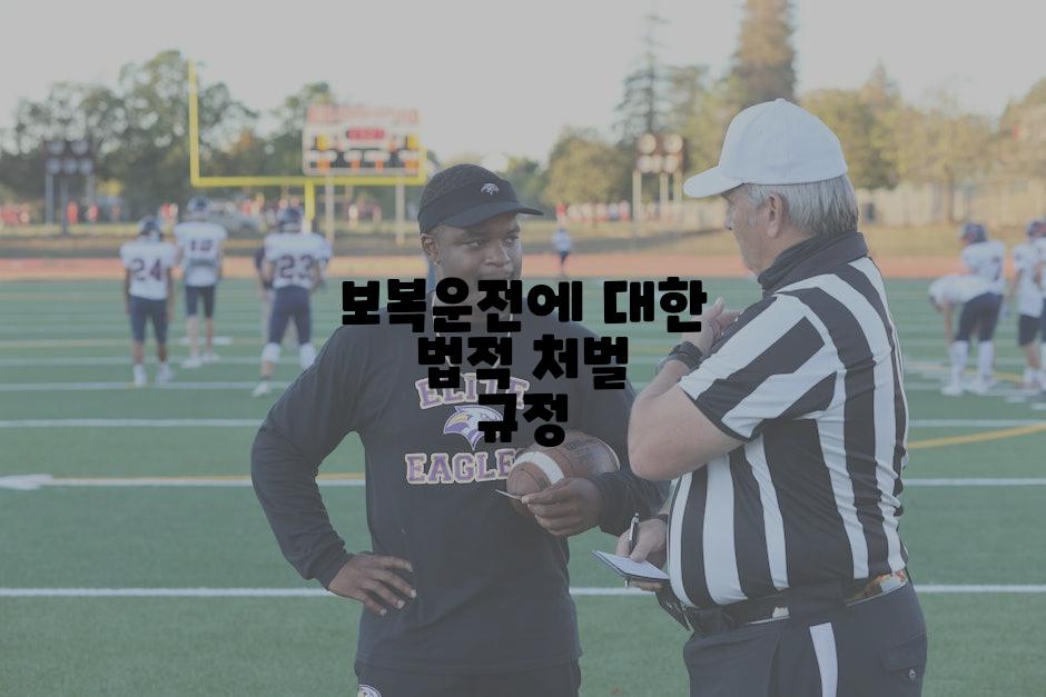 보복운전에 대한 법적 처벌 규정