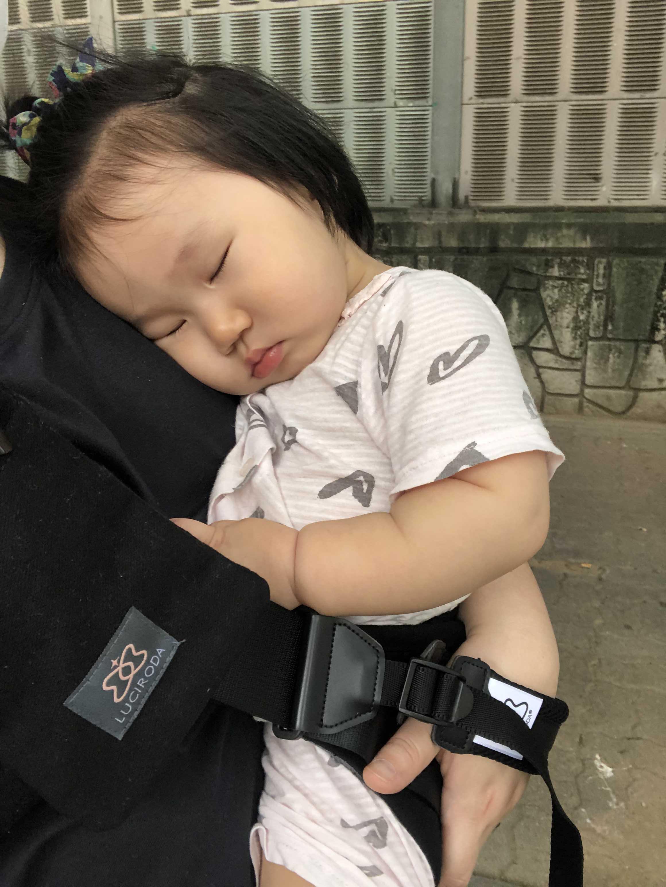 시트플러스 이미지