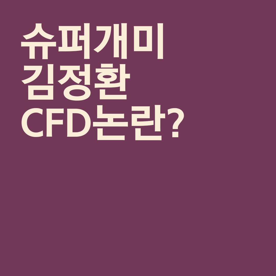  슈퍼개미 김정환 CFD논란 이유