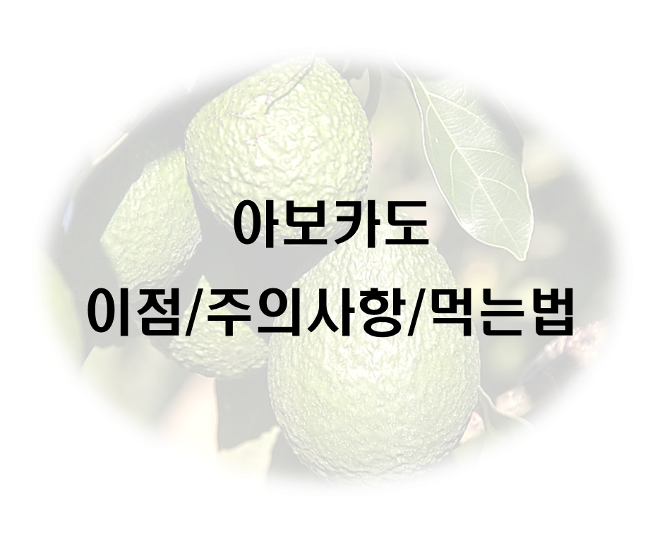  아보카도 이점 및 주의사항, 먹는방법